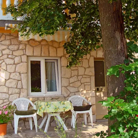 App Ivan Junior * سيلتسي