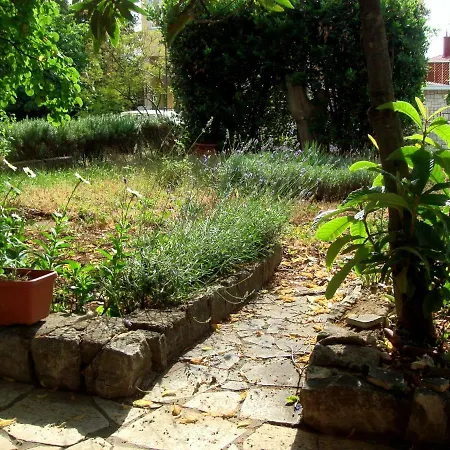 App Ivan Junior سيلتسي