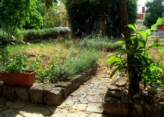 App Ivan Junior Selce